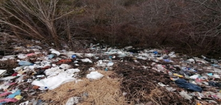 Описание: На Тернопільщині гори сміття люди вивозять до лісу (Відео) – МедіаТОР